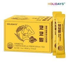 홀리데이즈 코코밀 발효 곡물 효소 초코맛 14포 1박스, 42g