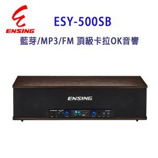 ENSING 燕聲 ESY-500SB 藍芽卡拉OK音響 擴音機 喇叭