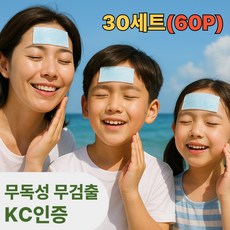 알래스카 아이스 쿨링패치 붙이는 안전한 쿨다운 쿨패치, 60개