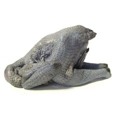 오골계 1kg 생닭 삼계탕 백숙 몸보신 한방약재, 1개