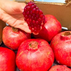 항공직송 석류 과즙가득 직수입 신선한, 1개, 중과 1kg (3과 내외)