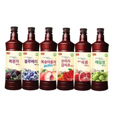 주스 광야 오미자감식초 매실 복분자 복숭아홍차 VRWB74333, 970ml