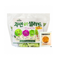 [샐러드박스] 자연 담은 샐러드 100 g 실속A 단품+드레싱포함구성 야채믹스 샐러드, 100g, 7개