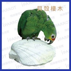 iPARROT 翔帥寵物生活館 貝殼棲木, 1個, 貝殼棲木-大
