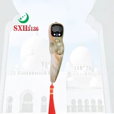 SXH5136 공장 도매 대리석 색상 전자식 계수기 LED 경음 기도용 디지털 타스비 구슬 묵주, 01 Marble Green