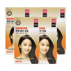 댕기머리 한방칼라크림, 6호 흑갈색, 10개