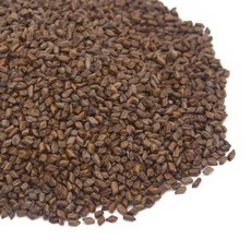 결명자 국내산 500g, 1개