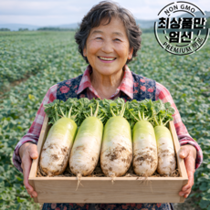 아삭달큰한 제주도 세척무 월동무, 1개, 5kg