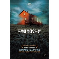 Changbi Publishers 暴風雨追趕的夜晚：崔貞媛長篇小說, 崔貞媛