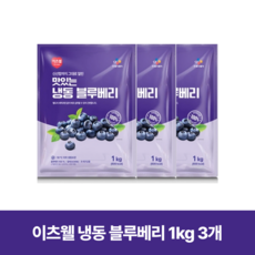 CJ프레시웨이 이츠웰 맛있는 냉동 블루베리, 1kg, 3개
