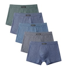 젤로스 인팅 드로즈 5매 세트