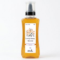 설악산허니팜 자연벌꿀 때죽나무꿀, 500g, 1개