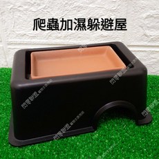 【閃電聯盟】加濕躲避屋 守宮屋 躲避洞 守宮躲避盒 加濕型守宮屋 爬蟲躲避洞穴 守宮 守宮躲避屋, 1個