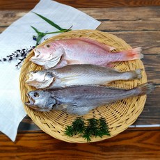 반건조 제사생선 세트 제수용 조기 돔 참민어 3종, 1세트, 대 몽세트, 대