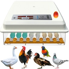 全自動孵蛋機，64枚雞蛋孵化器，鳥蛋/鴨蛋/鵝蛋適用，蘆丁雞/鸚鵡蛋/鵪鶉蛋/雞蛋皆宜, 1個, 64枚全自動孵蛋機 110V+12V二用