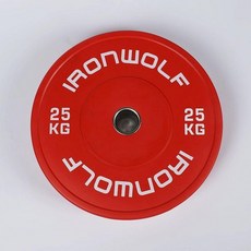헬스장 중량원판 헬스기구 홈트레이닝 구멍바벨 플레이트 원판 스탠다드, 레드 25kg, 1개, 1g