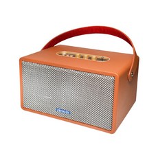 AIWA 愛華 復古式藍芽音箱 RS-X150, 棕色, RS-X150 Natsukasii Pro