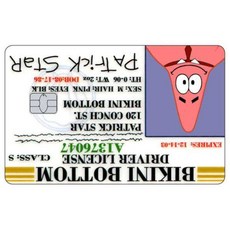 카툰 운전면허증 신용카드 스킨 패트릭 스타 스티커 패치 은행카드 무광 데칼 장식 선물, Big Chip, 12 1PCS