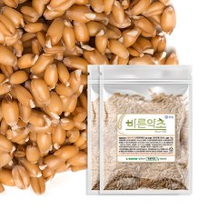 발아 카무트 2024년산 햇 발아 상품, 2개, 1kg