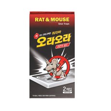 대일제약 쥐자바 오라오라 쥐 포획용 끈끈이 본드, 2개입, 1개