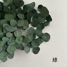 花藝夢* 大圆尤加利葉 "原裝販售" 永生尤加利葉 大圓葉 圓葉尤加利 乾燥花 永生花 不凋花, 綠