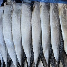 노르웨이 자반고등어 대 중 업소용 간고등어 가정용 생선 구이 도매, 1세트, 대 10손(20마리)