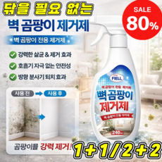 1+1 닦을 필요 없는 다기능 곰팡이 제거 스프레이 다기능 곰팡이 제거 스프레이 벽면 방곰팡이 및 얼룩 제거 스프레이, 2세트, 240ml