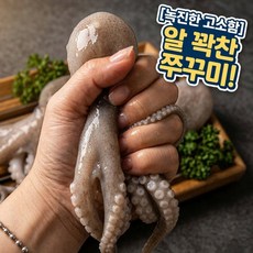 [오늘 조업량 한정] 수산시장 갈 필요 없는 경매 초신선 봄 쭈꾸미, 1박스, 국내산 활쭈꾸미 1kg (7~12미)
