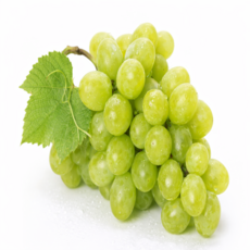 [한정특가] 초고당도 프리미엄 샤인머스켓 망고포도, 1개, 2kg(4-5수)