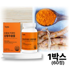 강황 추출 분말 수용성 커큐민 40대 50대 60대 시니어 중장년 건강 보조제 1박스
