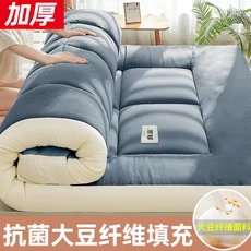 가정용 매트리스 다다미 매트 부드러운 쿠션 매트리스 매트 특별 기숙사 학생 싱글, 90x190cm