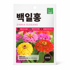 주주씨앗 백일홍 씨앗 200립 당년개화 꽃씨, 1개