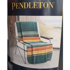 펜틀턴 코스트코 담요 캠핑 여행 포근한 따듯한 초록줄무늬