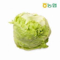농협선별 신선한 양상추 3입, 01.신선한 양상추 3입, 1