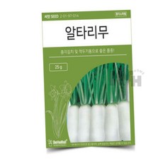 알타리 무 주말농장 영양채소