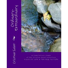 (영문도서) Ordinary-Extraordinary: A Compilations Combo of the Cristina Salat collections SLICE OF LIFE ... Paperback, Createspace Independent Pub..., English, 9781727628173