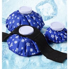 담비 얼음주머니 중, 1개