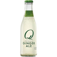 QQ 진저 에일 198ml×24개, 198ml