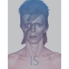 (영문도서)David Bowie Is Paperback, Victoria & Albert Museum, English, 9781838510589
