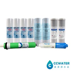 清淨淨水店 RO逆滲透台製一年份濾心 含美國FILMTEC 50G RO膜 抗菌小T, 1個, 一年份(pp 1微米)