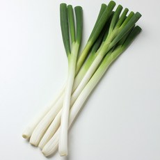 늘바른 국내산 친환경 무농약 절단대파500g5봉, 5개, 500g
