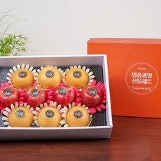 [명절단독특가] 전라도청년 프레시 사과 배 혼합 선물세트 1호 4kg, 1세트