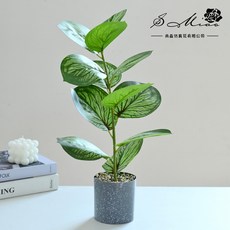 嘉義直發 仿真綠蘿葉龜背葉盆栽，仿真植物小盆景，家居客廳桌面裝飾仿真綠植擺件, 2024238-A（塑料花盆）, 1個