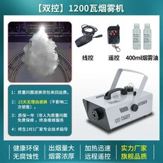차량용 연무기 스프레이 휴대용 소형 소독 연기 발생기, C모델 1200W 듀얼 컨트롤 베이직, 1개