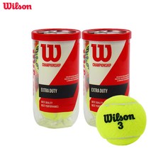 윌슨 참피온쉽 테니스 캔볼, 라임, 2개