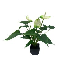 DODXIAOBEUL 40.9cm(16.1인치) 인공 화분 꽃 안스리움 인공 식물 분재 가짜 열대 녹색 식물 실내 외부 가정 정원 사무실 데크 현관 웨딩 장식 화이트