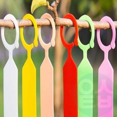 위블리 식물 네임텍 20개입