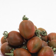 부산 대저 흑대추 방울토마토 단짠단짠, 1개, (혼합과) 1kg