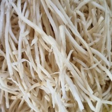 씹을수록 깊어지는 자연의 단맛 당일직송 국내산 햇우엉 우엉실채 우엉채, 1박스, 500g