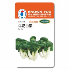 農友種苗 牛奶白菜種子SV-540 家庭園藝特選品種，適合台灣種植，新手輕鬆上手, 1個